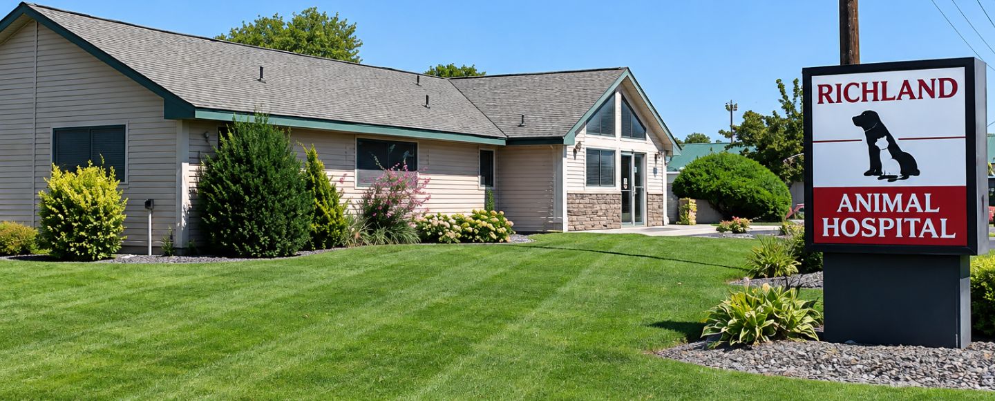 Richland Animal Hospital Under Sunny Skies
